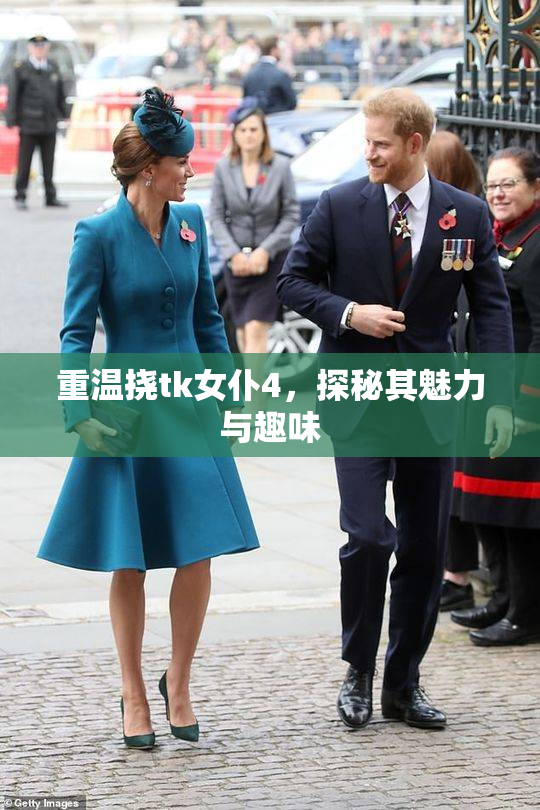 重温挠tk女仆4，探秘其魅力与趣味
