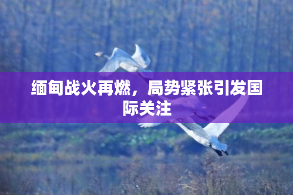 缅甸战火再燃，局势紧张引发国际关注
