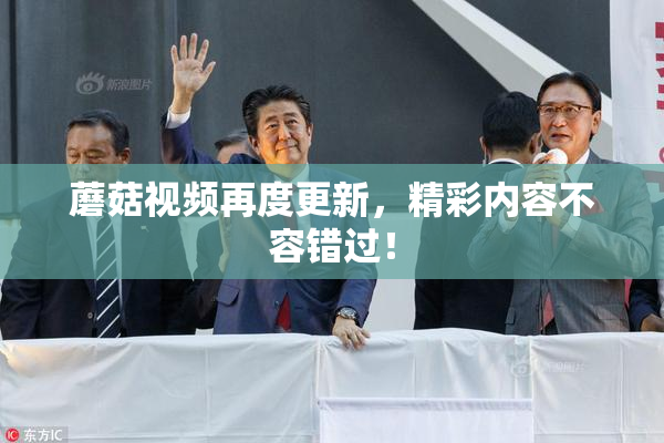 蘑菇视频再度更新，精彩内容不容错过！