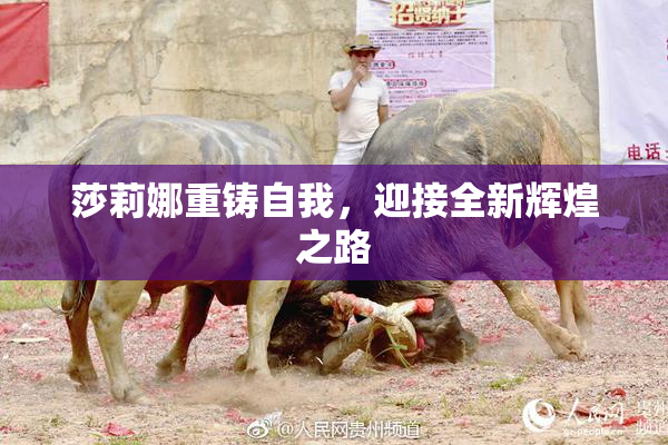 莎莉娜重铸自我，迎接全新辉煌之路