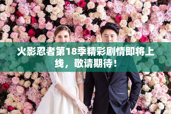 火影忍者第18季精彩剧情即将上线，敬请期待！