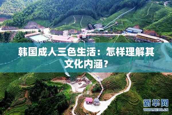 韩国成人三色生活：怎样理解其文化内涵？
