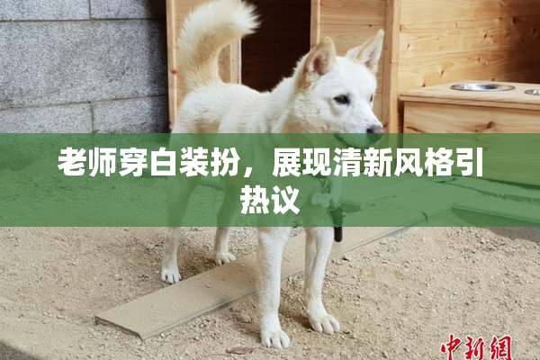 老师穿白装扮，展现清新风格引热议