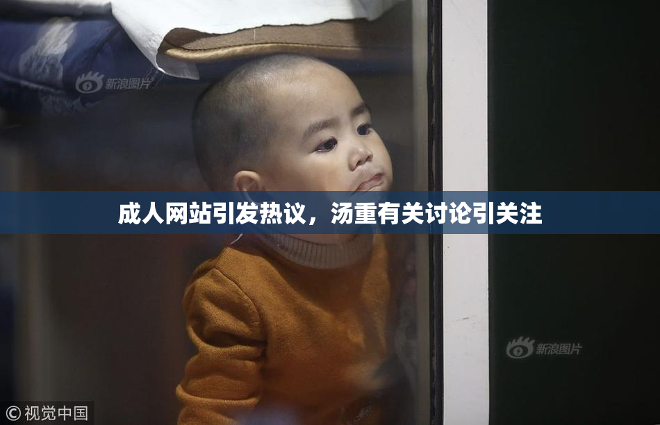 成人网站引发热议，汤重有关讨论引关注