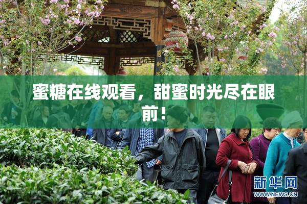蜜糖在线观看，甜蜜时光尽在眼前！