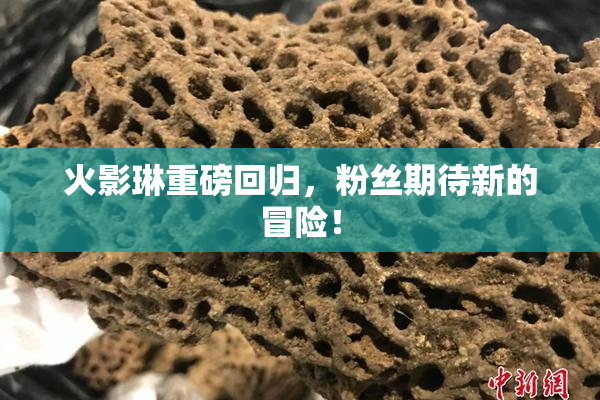 火影琳重磅回归，粉丝期待新的冒险！