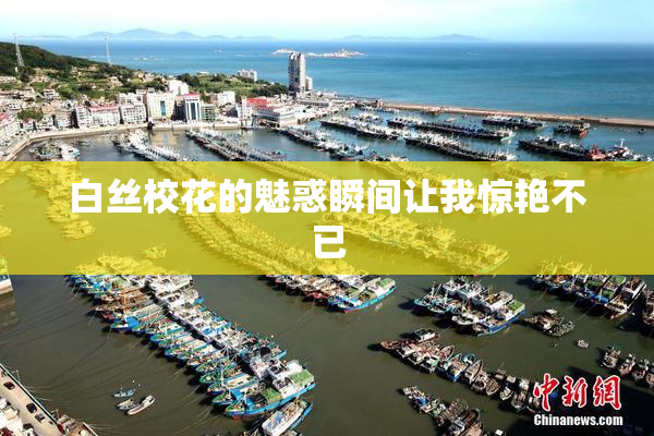 白丝校花的魅惑瞬间让我惊艳不已