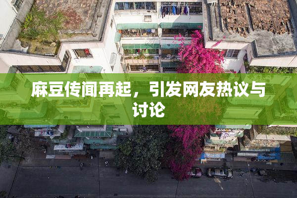 麻豆传闻再起，引发网友热议与讨论