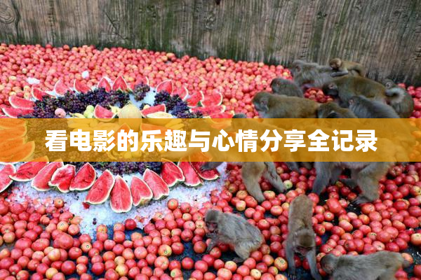 看电影的乐趣与心情分享全记录