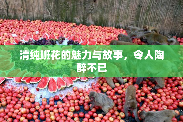 清纯班花的魅力与故事，令人陶醉不已