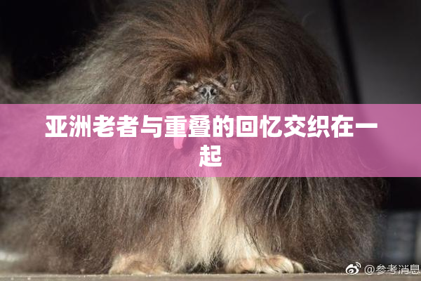 亚洲老者与重叠的回忆交织在一起