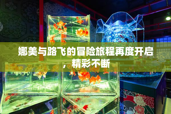 娜美与路飞的冒险旅程再度开启，精彩不断