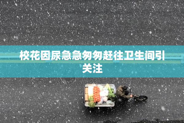 校花因尿急急匆匆赶往卫生间引关注