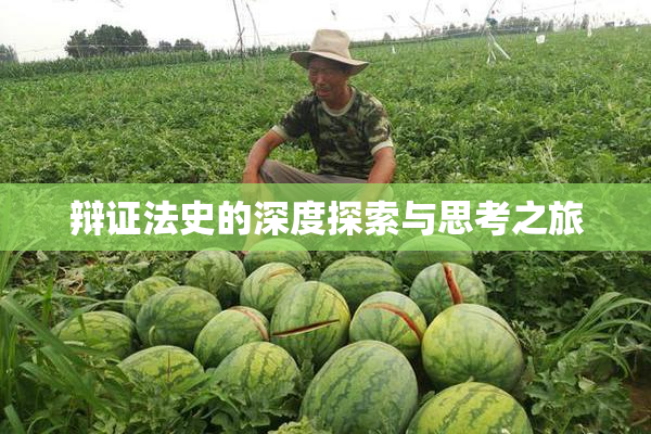 辩证法史的深度探索与思考之旅