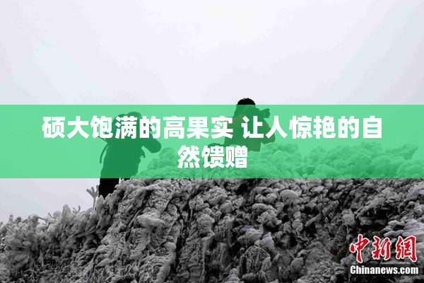 硕大饱满的高果实 让人惊艳的自然馈赠