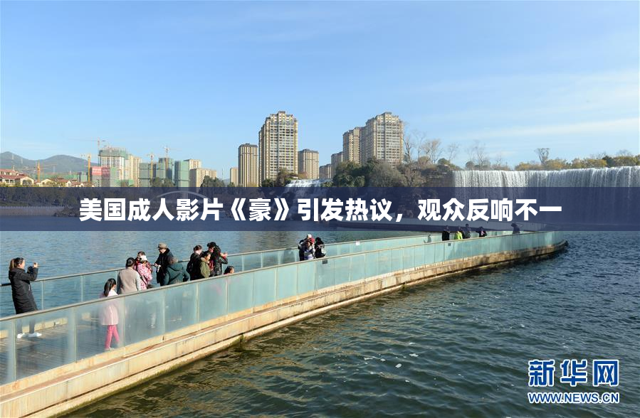 美国成人影片《豪》引发热议，观众反响不一