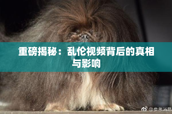 重磅揭秘：乱伦视频背后的真相与影响