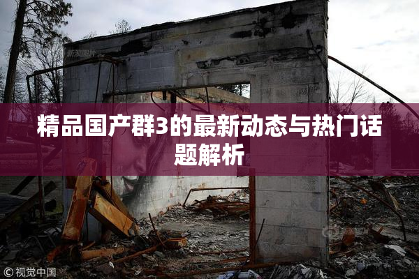 精品国产群3的最新动态与热门话题解析