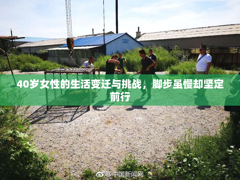 40岁女性的生活变迁与挑战，脚步虽慢却坚定前行