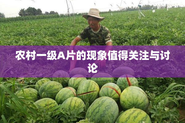 农村一级A片的现象值得关注与讨论