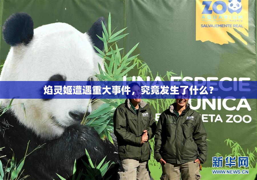 焰灵姬遭遇重大事件，究竟发生了什么？