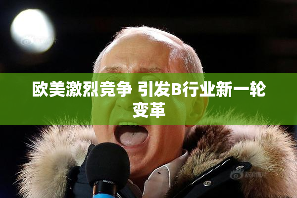 欧美激烈竞争 引发B行业新一轮变革