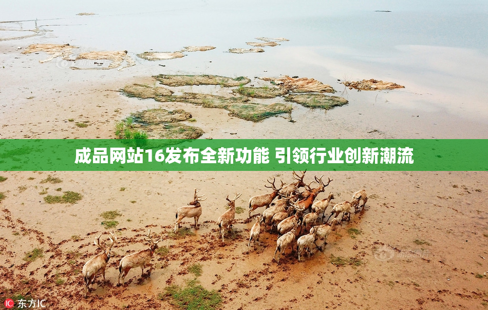 成品网站16发布全新功能 引领行业创新潮流