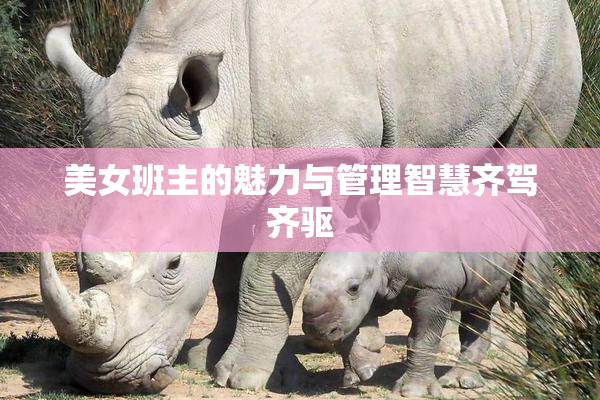 美女班主的魅力与管理智慧齐驾齐驱