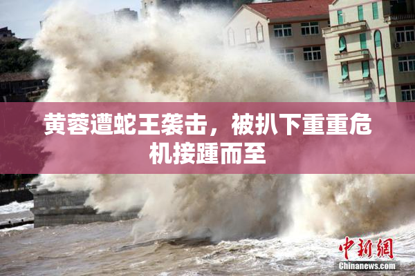 黄蓉遭蛇王袭击，被扒下重重危机接踵而至