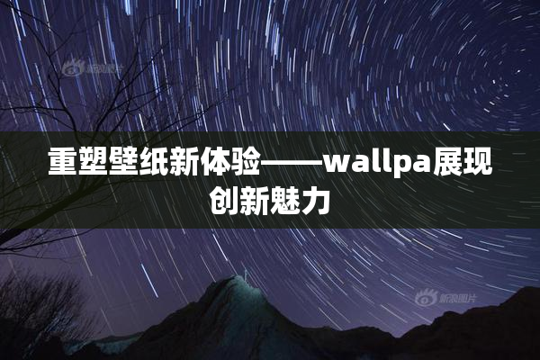 重塑壁纸新体验——wallpa展现创新魅力