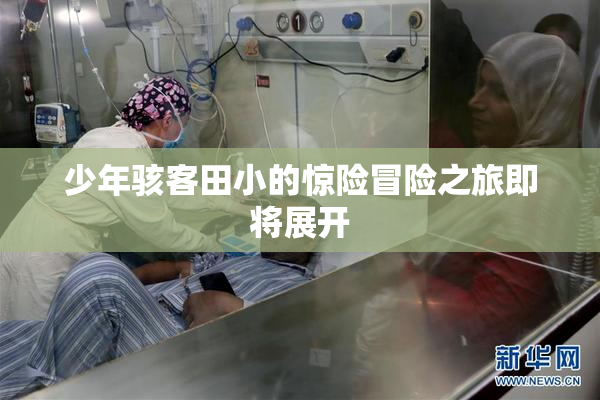 少年骇客田小的惊险冒险之旅即将展开