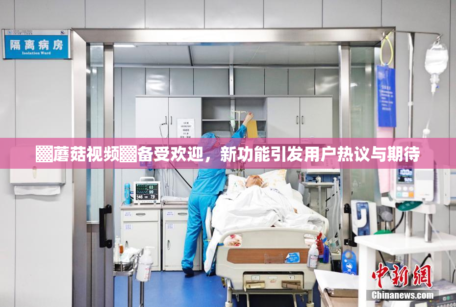 ▓蘑菇视频▓备受欢迎，新功能引发用户热议与期待