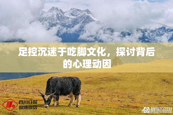 足控沉迷于吃脚文化，探讨背后的心理动因