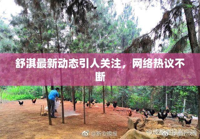 舒淇最新动态引人关注，网络热议不断