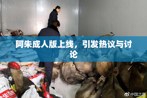 阿朱成人版上线，引发热议与讨论