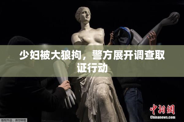 少妇被大狼拘，警方展开调查取证行动