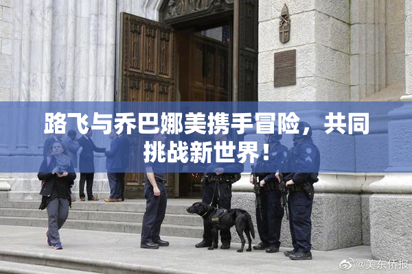 路飞与乔巴娜美携手冒险，共同挑战新世界！