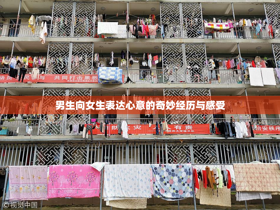 男生向女生表达心意的奇妙经历与感受