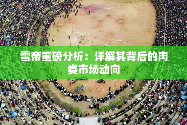 雪帝重磅分析：详解其背后的肉类市场动向
