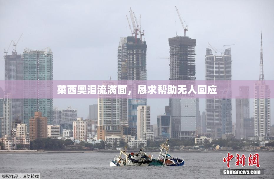 菜西奥泪流满面，恳求帮助无人回应
