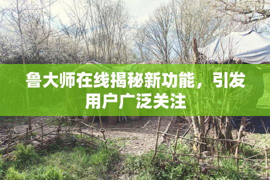 鲁大师在线揭秘新功能，引发用户广泛关注