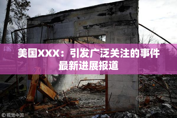 美国XXX：引发广泛关注的事件最新进展报道