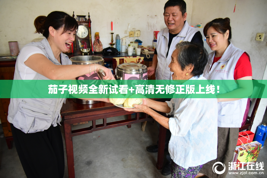 茄子视频全新试看+高清无修正版上线！