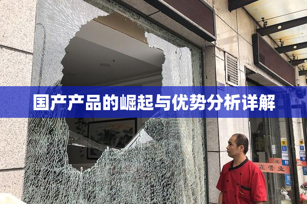 国产产品的崛起与优势分析详解