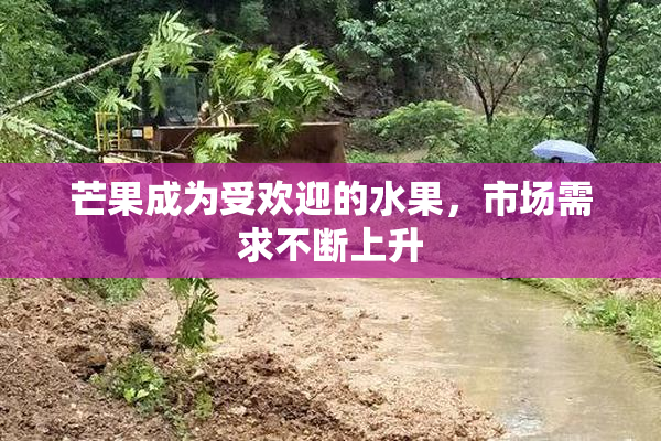 芒果成为受欢迎的水果，市场需求不断上升
