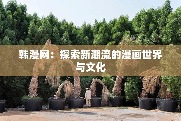 韩漫网：探索新潮流的漫画世界与文化