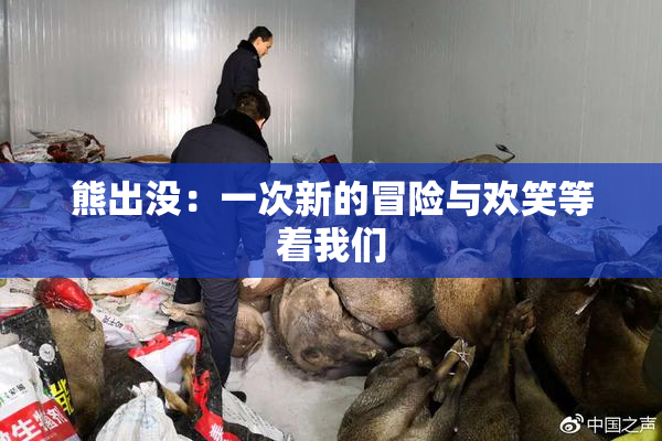 熊出没：一次新的冒险与欢笑等着我们