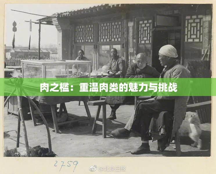 肉之槛：重温肉类的魅力与挑战