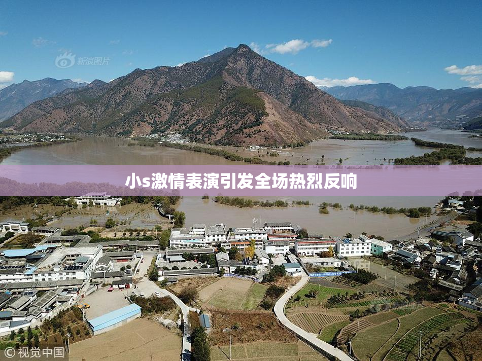 小s激情表演引发全场热烈反响