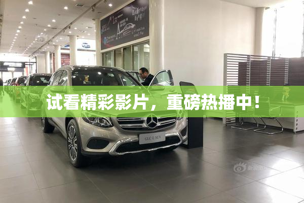 试看精彩影片，重磅热播中！